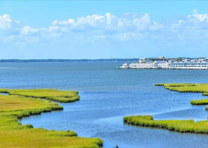 Direct Bay Front With 2 Bedrooms, Outdoor Pool, And 2 Parking Spaces!